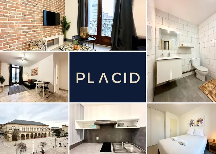 Les 3 Rivieres - Vue Imprenable & Hyper Centre *